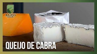 Queijo de cabra: uma delícia artesanal no Alto Paranaíba | Agro Paranaíba