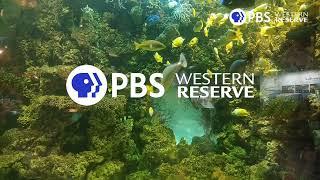 PBS Western reserve station id ( 1/1/2020 - present )