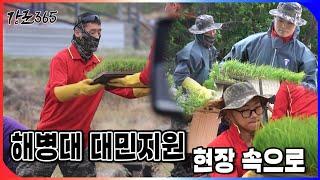 해병대 대민지원 현장 속으로 [강군365 184회] l 국방홍보원