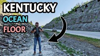 We Found Crystal Filled Geode-Fossils and Squid-Like Sea Creature Remains in Kentucky's Roadcuts!