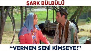 Şark Bülbülü Türk Filmi | Zülfo Ağa ile Şaban, Hatice İçin Kapışıyor!