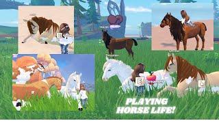 Playing Horse Life by Sonar Studios! I LOVE IT!