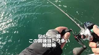 2024 12 20大原敷島丸フグ釣り