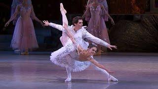 'Grand Pas de Deux - Adagio' - NUTCRACKER (Tchaikovsky) - National Opera of Ukraine