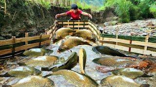 Using bamboo to make fish traps using the ancient method. The boy caught a lot of fish.