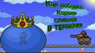 Как победить короля слизней в Terraria 1.4 в мастер моде на андроид и пк