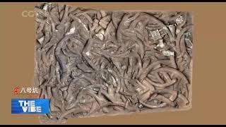 Top 10 Archaeological Finds of 2021 to be Shared with the Public