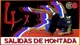 COMBINA ESTAS 4 SALIDAS PARA ESCAPAR CUALQUIER MONTADA  ​|  Escuela de Grappling