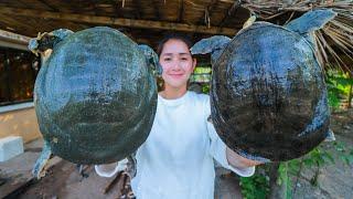 Buy turtle from market | First time for softshell turtle Cooking | Amazing softshell turtle soup