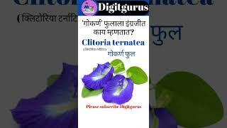 Learn English-Daily use flower name in English@Digitgurus  #englishvocabulary #youtubeshorts #shorts