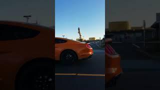 GT350 with a Burble Tune? 
