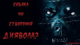 Страшні речі почали відбуватися в нашій вет лікарні... | СТРАШНІ ІСТОРІЇ З РЕДДІТ