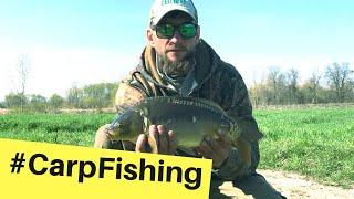 ПЕРВЫЙ КАРП ЯРИКА ! | carpfishing | карпфишинг | ловля карпа | карповая ловля | рыбалка Украина