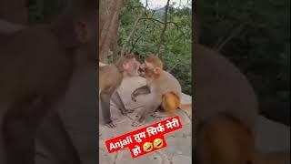 #shortsvideo  #sujeet Tiwari fans #comedy 
