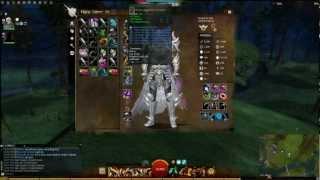 Guild Wars 2 Warrior Glass Hammer WvWvW