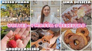 VOLTEI- UMA MASSA 2 RECEITAS TOP | ADUBO CASEIRO | TOUR PELO POMAR | MORANGOS E +