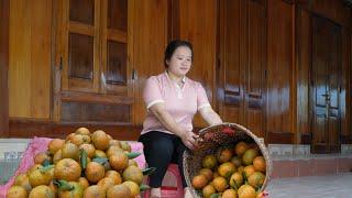 Cut oranges to sell & squeeze juice, What to do when alone at home