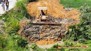 The Powerful strong Komatsu bulldozer clear dirt mud trees making road with dump trucks filling soil