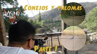 Caza de Conejos y Palomas con PCP, Chile . Parte 1 (CC on English)