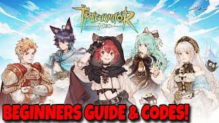 Beginners Guide & Codes Tree of Savior Neo
