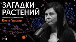 Невероятные растения / «социальные» подсолнухи, гигантский цветок и общий предок растений и животных