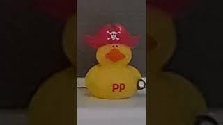 The PP Duck