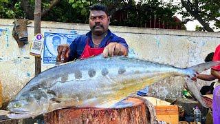 KASIMEDU  SPEED SELVAM | 16 KG GIANT QUEEN TREVALLY FISH CUTTING VIDEO | IN KASIMEDU | FF CUTTING 