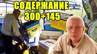 Содержание пчел 300+145 Почему не кормим пчел и собираем гнезда в октябре