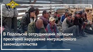 Ирина Волк:  Подольске сотрудниками полиции пресечено нарушение миграционного законодательства