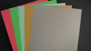 Stampin' Up! New In Color Comparison