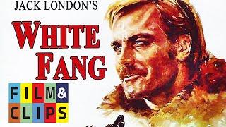 White Fang - Full Movie by Film&Clips