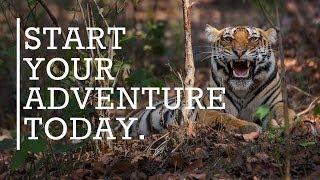 Travel to India with Rhino Asia Safaris | Rhino Africa