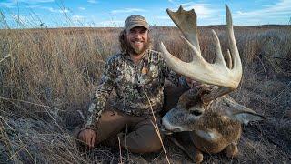 LITERALLY A MOOSE! (Bowhunting Open Country Bucks)