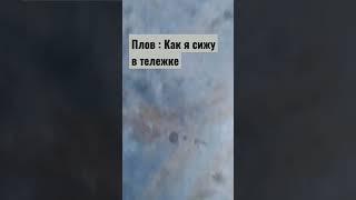 Как я сижу в тележке #Влорд