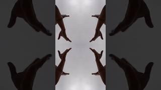 #tutting #deadpaul #trend #youtubeshortviral #handdancetutting #fingerdance #youtuheshorttrend #