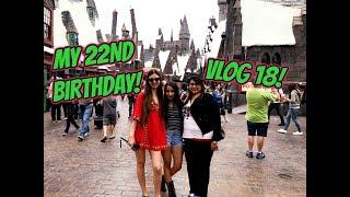 MY 22ND BIRTHDAY! VLOG 18 | NIKKI SARYAN