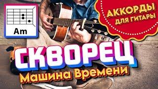 СКВОРЕЦ - МАШИНА ВРЕМЕНИ (АККОРДЫ И ТЕКСТ - В ОПИСАНИИ) КАК ИГРАТЬ (ПРОСТАЯ ПЕСНЯ НА ГИТАРЕ) COVER 