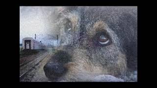 Бездомный пёс / Homeless Dog / Bezdomny Pies (instrumental remix)