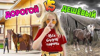 ДОРОГОЙ vs ДЕШЕВЫЙ КОННЫЙ КЛУБ! ЧТО ВЫБЕРЕТ МИЛАНА?