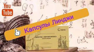 Мозговые капсулы Линчжи #FOHOW