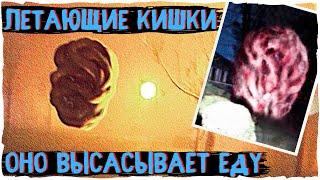Летающий Кишечник - Ужасы Тревора Хендерсона | Creepypasta & Unnerving images | Страшные истории
