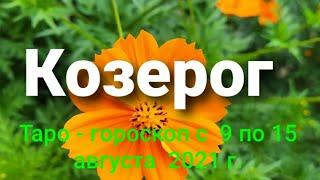 Козерог 1 часть Таро - гороскоп с  9 по 15 августа  2021 г.