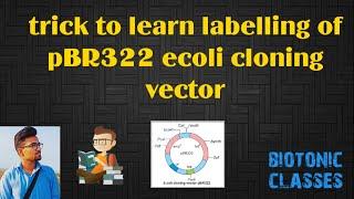 Trick To Learn Labelling Of pBR322 E-Coli Cloning Vector Of Class 12 th Ncert For NEET EXAM..