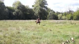 Russian Horseback Archery 18.08 2013