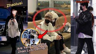 Are Yang Yang and Zhao Lusi Dating? New Reports Claim Relationship