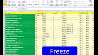 Advanced Excel 2010 Video 32  Freeze (Mr.Ahmed Hafez) - تجميد صف او عمود