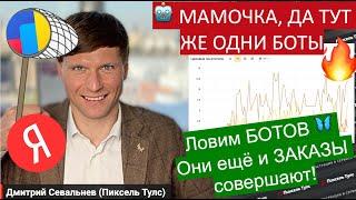  Я начал ЛОВИТЬ БОТОВ каждый ДЕНЬ, и вот что из этого вышло: Яндекс + Метрика