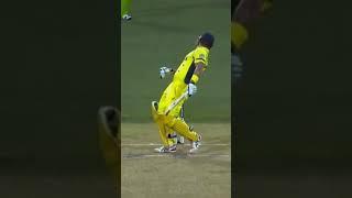 #wiki bhai#cricket #cricketlovers #viralvideo #views #cricketing #favoritebowler#mahnat