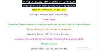 OXYTOCIN (Posterior Pituitary Hormone). Chapter 76 part 12. Guyton and Hall Physiology.