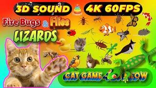 CAT GAMES BiBi TV | Ultimate Cat TV Compilation SPECIAL VOLUME #78 | 3 HOURS | Game On Screen 